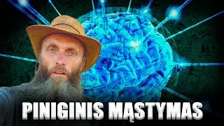 Piniginis mąstymas. Kaip mastyti ir matyti pinigus? Medicija padedanti geriau pamatyti pinigus aplin