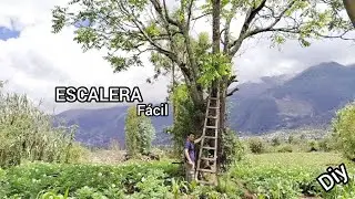 The easiest ladder to make /wood