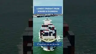 Experience the convenience of our cargo handling services today! #shipping #seafreight