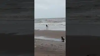 sea shore 3, hello tiwari sir, tere hi pass