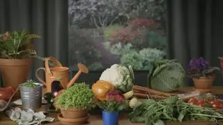 A Time to Remember: The Gardener | Arbor Memorial