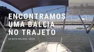 Bote Inflável Motor 15 hp Mercury de Cubatão até Santos