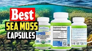 ✅Top 10 Best Sea Moss Capsules of 2024