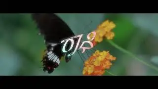 GLIMPSE OF RAADHE | NIKHIL SHETTY  |MANOJ | CHANDANA | SURAJ JOIS