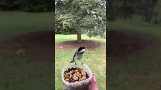 Teamwork
