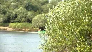 M4H00314.MP4