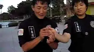 Chosun Ninja - Hand Pressure Points Sampler