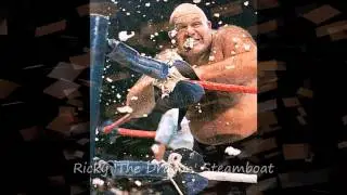 WWE Wrestlers of The 1980s
