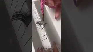 GAlash Self-Fanning Machine for Eyelash Extensions#lashtech #lashtraining #lashboss #lashtutorial