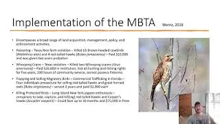 L 8 Migratory Wildlife presentation
