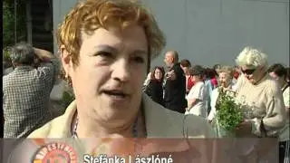 Muskátli az újpestieknek -- 5000 virág talált gazdára