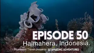 🫢 This dive destination should be on your bucket list!