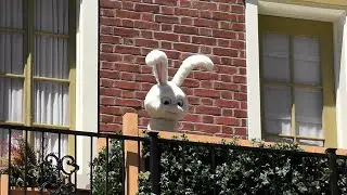Уморительная встреча со снежками — Тайная жизнь домашних животных — Universal Studios Hollywood