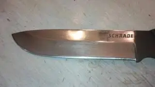 SCHF 37