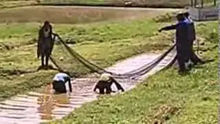 POOR WATER QUALITY IN FISH PONDS - What went wrong?