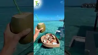 Endless Beauty - Maldives  |  Trip Booker