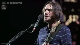 Red Hot Chili Peppers - The Heavy Wing [Live, Austin City Limits Festival - USA, 2022]