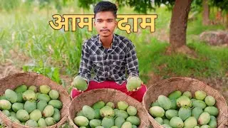 आम तोरे आज 🥭 ll Mango Falling from Tree 🌲