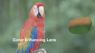 Maui Jim Lens Tech Video