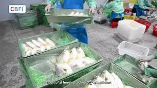 【EN】1000 kg/h Double Spiral IQF Freezer | For Fish Fillets Processing | CBFI