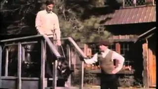 A trab&eacute;s de la oscuridad  Primer perro gu&iacute;a EE UU 1984