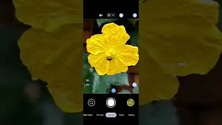 Gcam Lmc 8.4 R18 Lmc 8.4 Config File Download | Lmc 8.4 Camera #lmc #photography