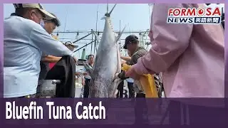 Restaurants preparing as Taiwan reaches bluefin tuna quota early｜Taiwan News