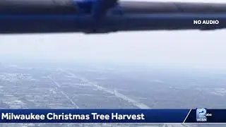 Milwaukee Christmas Tree Harvest
