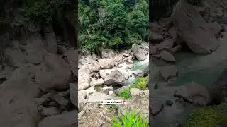 दुगड्डा 🌿 उत्तराखंड Uttarakhand  🤍 @ashishnegi98 #dugadda #kotdwar #uttarakhand #shorts