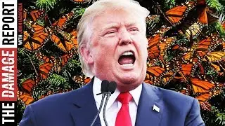 Trump To Destroy National Butterfly Center