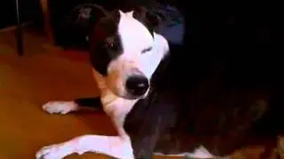 Medo da camera