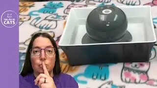 Quiet Cat Water Fountain Video:  Drinkwell Seascape Review