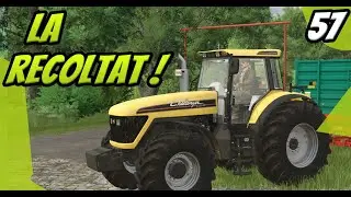 Incepem o noua etapa de recoltare ! Cate grane voi pune in hambar? Riverbend Springs Ep.57 #fs25