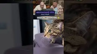 Обнаружил оппонентика🤣