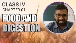 CBSE Class 4 Science | Chapter 1 | Food and Digestion | Question and Answers @sooscience