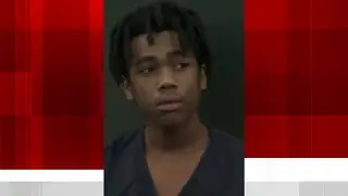 Second man accused of hitting, killing retired police chief enters plea agreement