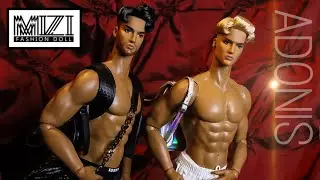 Mizi Doll: Adonis Fashion Male Dolls 