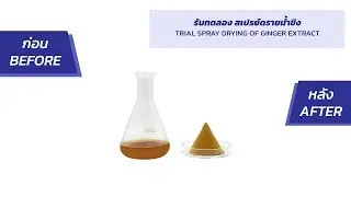 รับทดลอง สเปรย์ดรายน้ำขิง (TRIAL SPRAY DRYING OF GINGER EXTRACT)