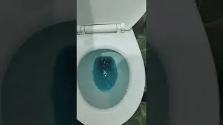 Cara memakai blue clean di closet duduk #blueclean #toiletduduk #bersihbersih