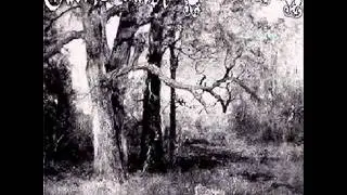 Gaoth Anair - Desolate Kingdom.