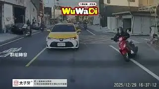 突發狀況來不及反應｜貓咪衝出車道，騎士緊急閃避摔車#貓咪衝出 #突發狀況 #騎士摔倒 #緊急煞車 #行車記錄器 #道路風險 #交通安全 #用路人驚魂 #意外瞬間 #機車事故 #公共安全 #別讓憾事發生