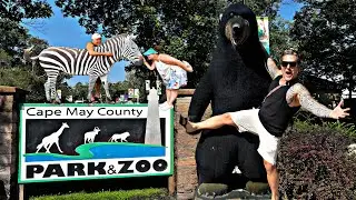 Fun FREE Things To Do In New Jersey? Cape May Zoo