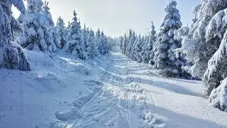 Winter Mood (Malte)