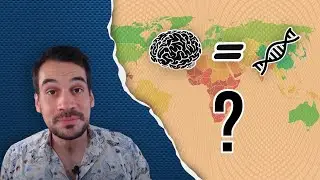 Les diff&eacute;rences de QI entre populations sont-elles g&eacute;n&eacute;tiques ? &ndash; LSD #1