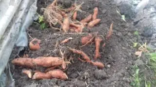 20160925 125753