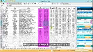 PII Identification and redaction in document in Exolution - Native Excel File Redaction Software