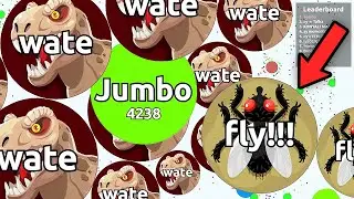 The Agar.io Hero is Back to help me again..