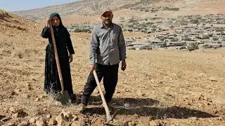 После многих лет бездомности Ахмад и Фариде наконец обрели новую надежду.
