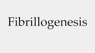 How to Pronounce Fibrillogenesis