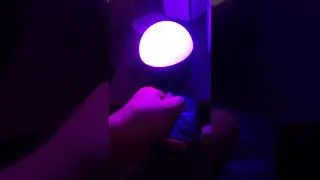 Onn Disco Lamp Speaker Review